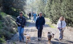 İzmir'de 3 binin üzerinde hayvan sıcak yuvaya kavuştu