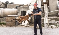 İzmir’de barınaktan sahiplenilen Momo, enkazda can kurtaracak