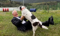 İZSİAD’dan iş dünyasına çağrı: “Her fabrikaya barınaktan bir köpek”