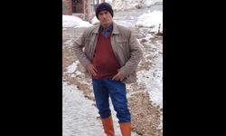 Kamyonet uçuruma yuvarlandı: Sürücü hayatını kaybetti