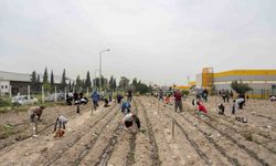 Kent Bostanlarında yaz sezonu coşkuyla başladı