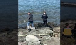 Deniz kıyısındaki kayalık alanda bir erkek cesedi bulundu