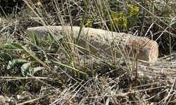 Mantar ararken faciadan dönüldü: Top mermisi kontrollü şekilde imha edildi!