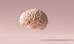 Korkuyu “kapatan” teknoloji: PTSD tedavisinde yeni dönem