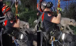 Kuyuya düşen kuzuya zamanında müdahale