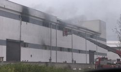 Mobilya fabrikasında alevler yükseldi: Ekipler seferber oldu!