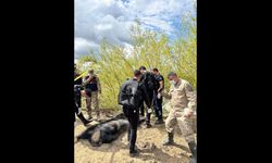 Nehirde erkek cesedi bulundu