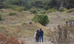 Ormanlık alanda bir kişi ölü bulundu