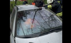 Şarampole yuvarlanan otomobil sürücüsü hayatını kaybetti