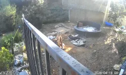 Kolombiya'da saldırıda 3 asker hayatını kaybetti