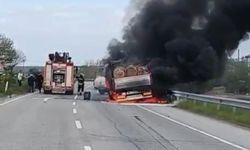 Seyir halindeki tomruk yüklü kamyonda yangın: Sürücünün dikkati facianın önüne geçti