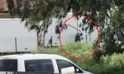 Skandal görüntü: Köpeğe sopayla defalarca vurdu! Şüpheli gözaltına alındı