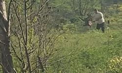 Sosyal medya ayağa kalktı: Köpeğe şiddet uygulayan şahıs yakalandı!