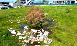 Torbalı’da vektörle mücadele seferberliği