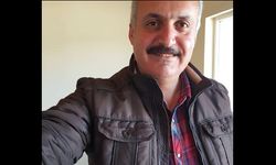 İlaçlama yaparken kontrolden çıkan traktör ağaca çarptı, 1 kişi öldü