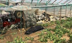 Traktör seraya devrildi: 28 yaşındaki sürücü hayatını kaybetti