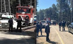 Uludağ'da feci olay! Seyir halindeki kamyonetin üzerine ağaç devrildi: 1 ölü