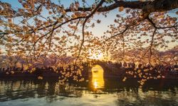 “Kardeş Kadrajlar”da kazananlar belli oldu