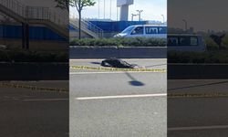 Reklam afişi asarken yüksekten düşen şahsın üzerinden otomobil geçmesi sonucu öldü