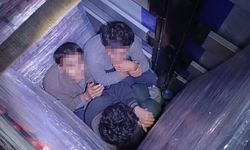 Yağ bidonları arasına saklanmış göçmenler yakalandı: 1 tutuklama