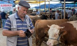 İkramiye, kurbanlığı 8 yılda 4 kilo ete indirdi