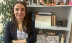 Yapay zeka ile şeffaf güneş panelleri geliştirildi