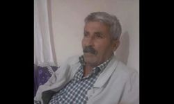 Yola çıkan inek, sahibinin ölümüne neden oldu