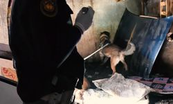 Zehir tacirlerine operasyon: 9 evde arama, çok sayıda madde ele geçirildi