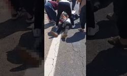 24 yaşındaki kamyonet sürücüsü gençliğinin baharında hayatını kaybetti