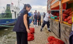 İzmir'de 7 ton kaçak midye ele geçirildi; 620 bin TL idari para cezası uygulandı