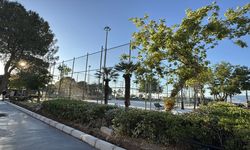 Tarık Zafer Tunaya Parkı'nda yapılacak tenis kortu için 6 ağaç kesildi