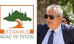 Ağaç AŞ eski Genel Müdür Yardımcısı Metin Aras kimdir?