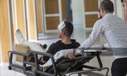 Bayramın acı tablosu: Kurban kesiminde binlerce yaralı...