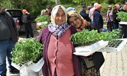 Bornova’da üreticiye 150 bin yazlık fide desteği