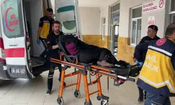 Bostana giren inek faciaya yol açtı! Tartışmada 1 kişi öldü
