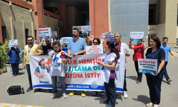 Ebeler, hemşireler kutlama değil çözüm istiyor