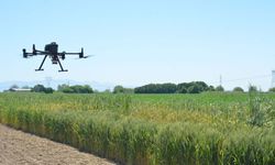 Ege Üniversitesi'nde “drone”lar tarımın geleceği için havalandı