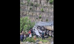 Elektrik direği yüklü kamyon şarampole yuvarlandı: Sürücü hayatını kaybetti