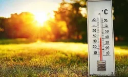 Yazı özleyenlere müjde: Sıcaklıklar artacak, klimaları yaz moduna alın!