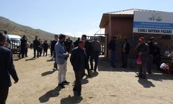 Hayvan pazarında silahlı kavga: 1 ölü, 13 yaralı