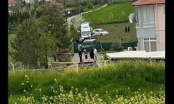 İki kardeş arasındaki tartışma ölümle bitti