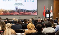 İzmir’de Avrasya ülkeleri zeytin sektörü için buluştu