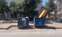 İzmir’de çöp konteynerinde bulunan 33 ölü kediyle ilgili veteriner gözaltında
