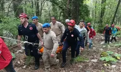 Kayıp demans hastası ormanlık alanda ölü bulundu
