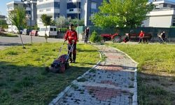 Menderes'in 44 mahallesinde yabancı otlarla mücadele sürüyor
