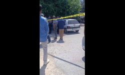 Park halindeki araçta ölü bulundu