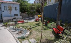 Varyant'ta bakımsız alanlar yenilendi