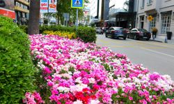 İzmir’in çehresi peyzaj çalışmalarıyla değişiyor