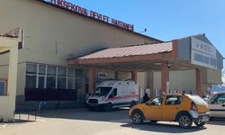 Yaylada korkutan patlama: Genç çoban yaralandı, koyunlar telef oldu!
