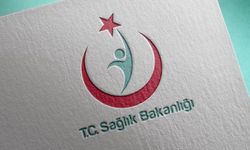 Yurt dışındaki gemide bulunan 3 Türk vatandaşı yarın Türkiye’ye getiriliyor